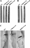 FIG. 5.