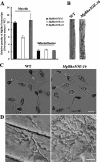 FIG. 8.