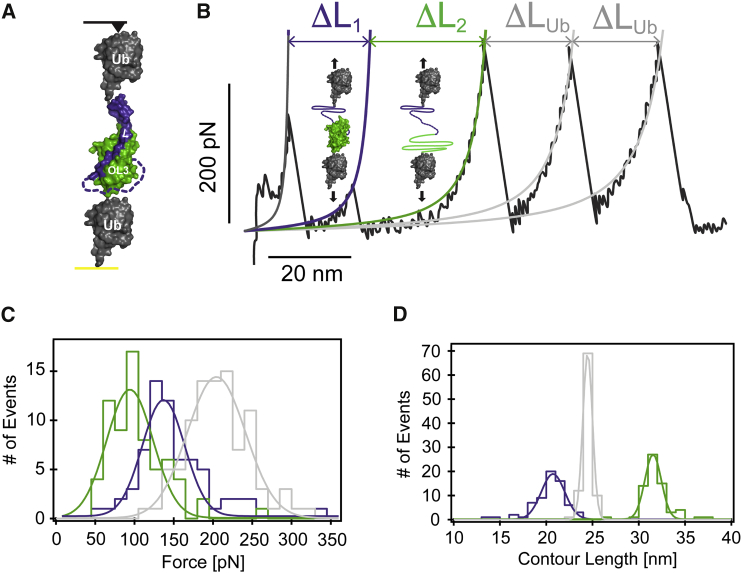 Figure 6