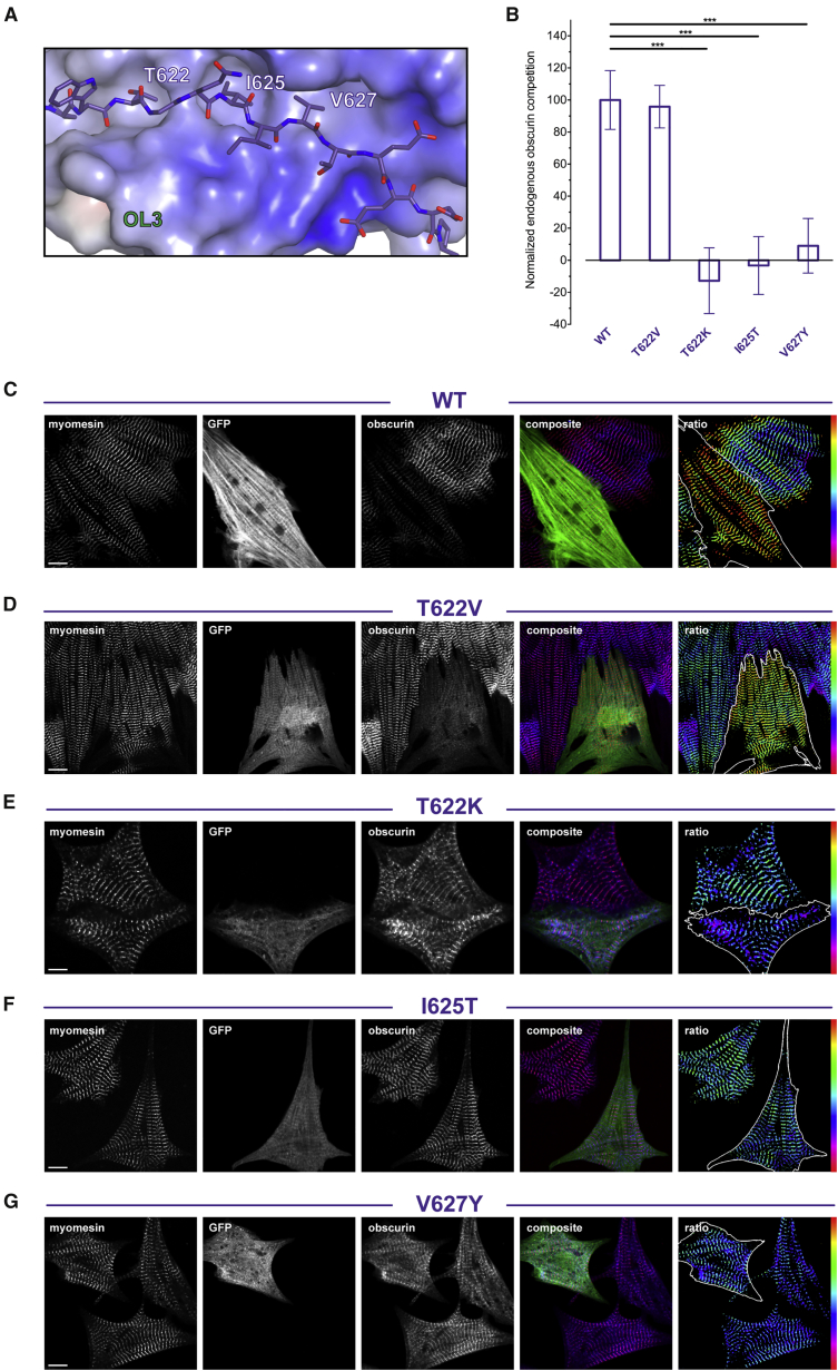 Figure 4