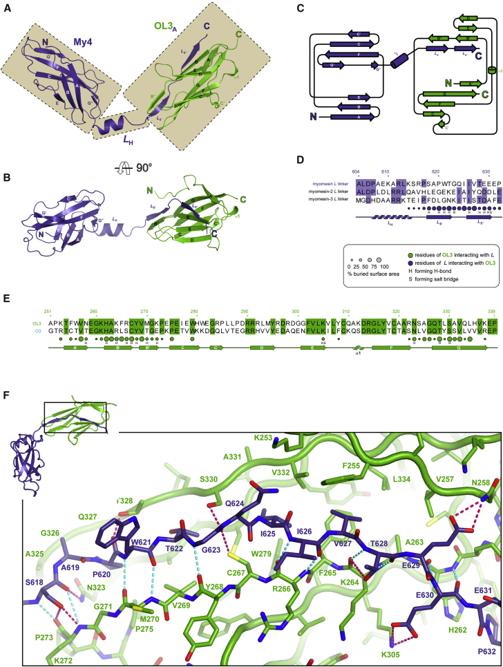 Figure 3