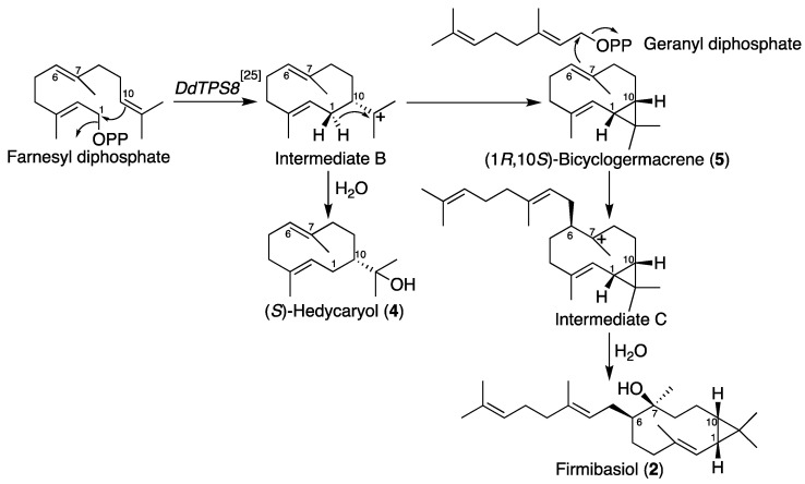 Scheme 2