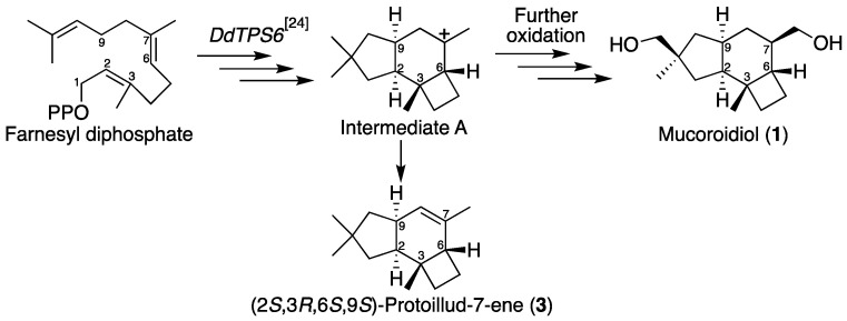 Scheme 1