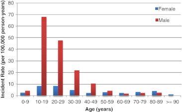 Fig. 1