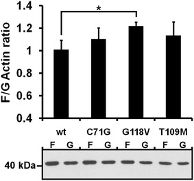 Fig. 4