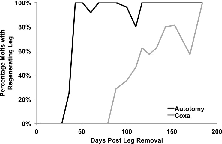 Fig 5