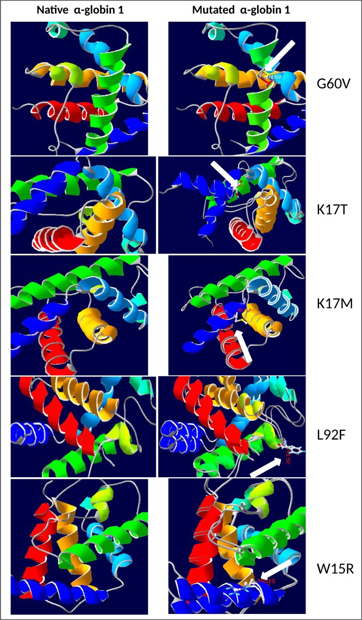 Fig 4