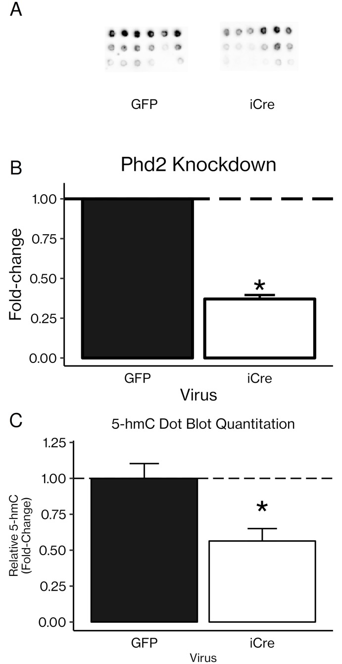 Fig 9