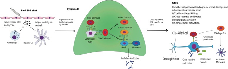 Fig. 2