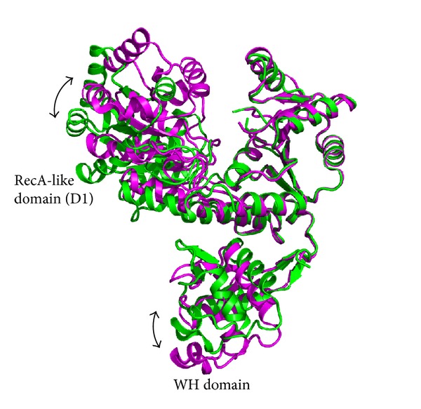 Figure 5