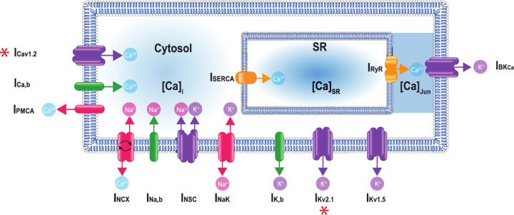 Figure 1.