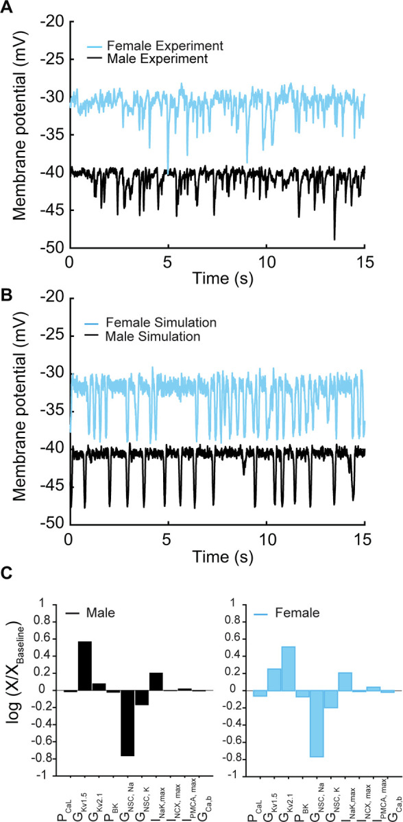 Figure 5.