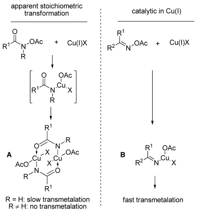 Scheme 3