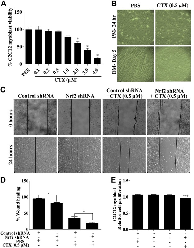 Figure 10.