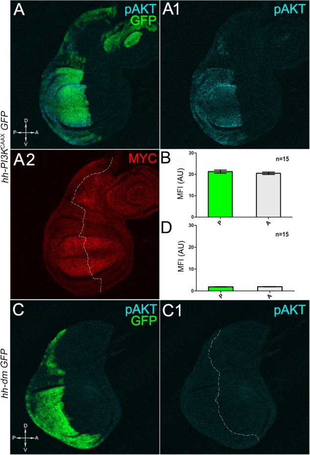 FIGURE 2