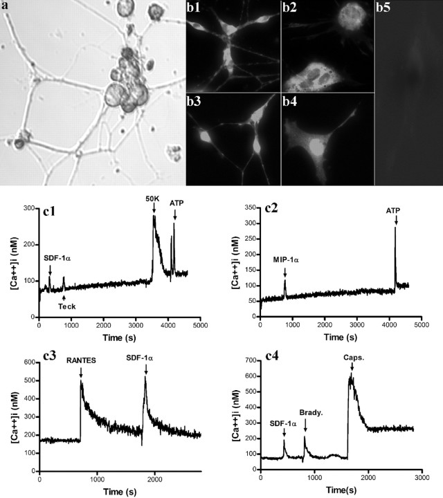 
Figure 9.
