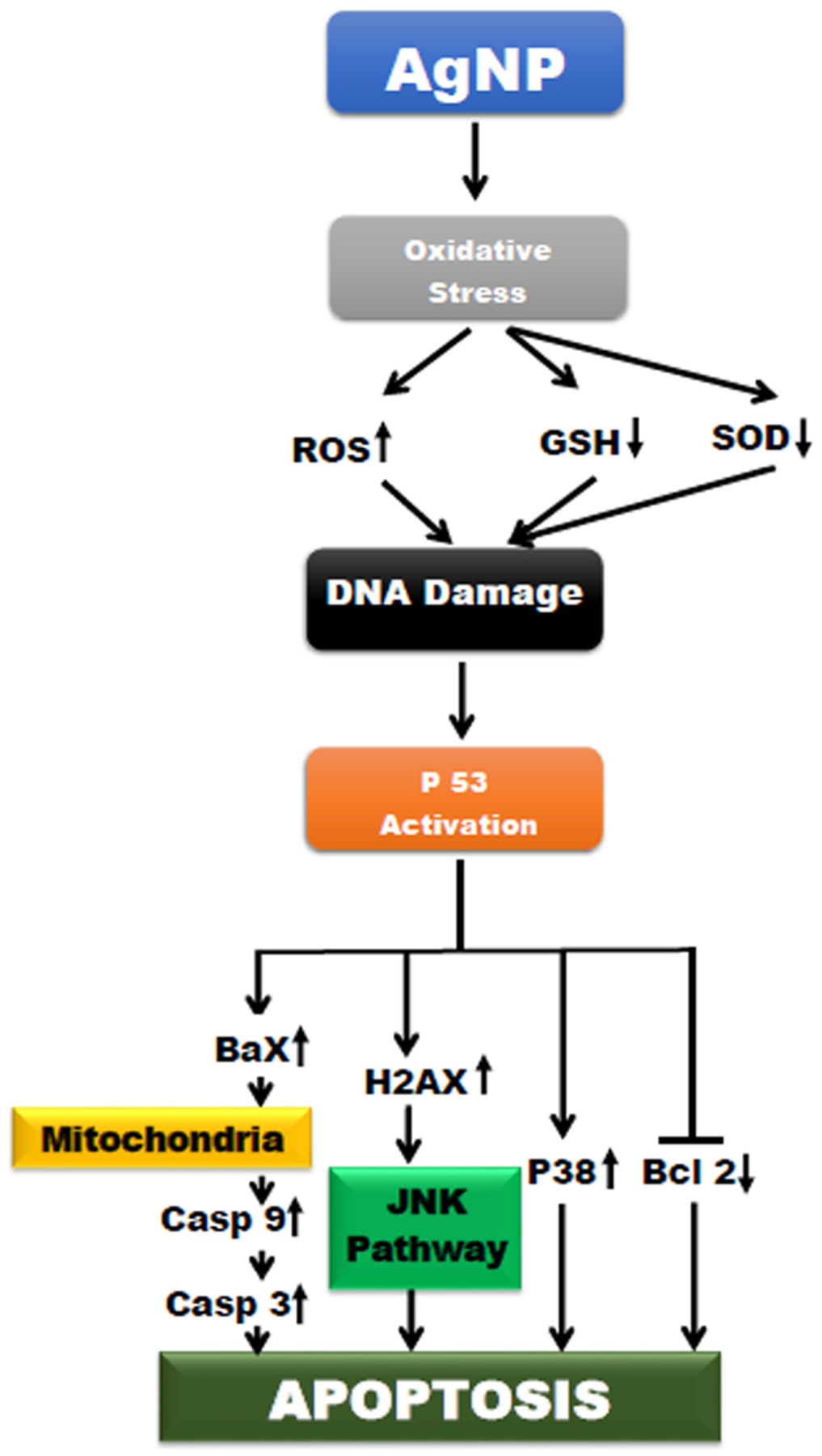 Figure 4: