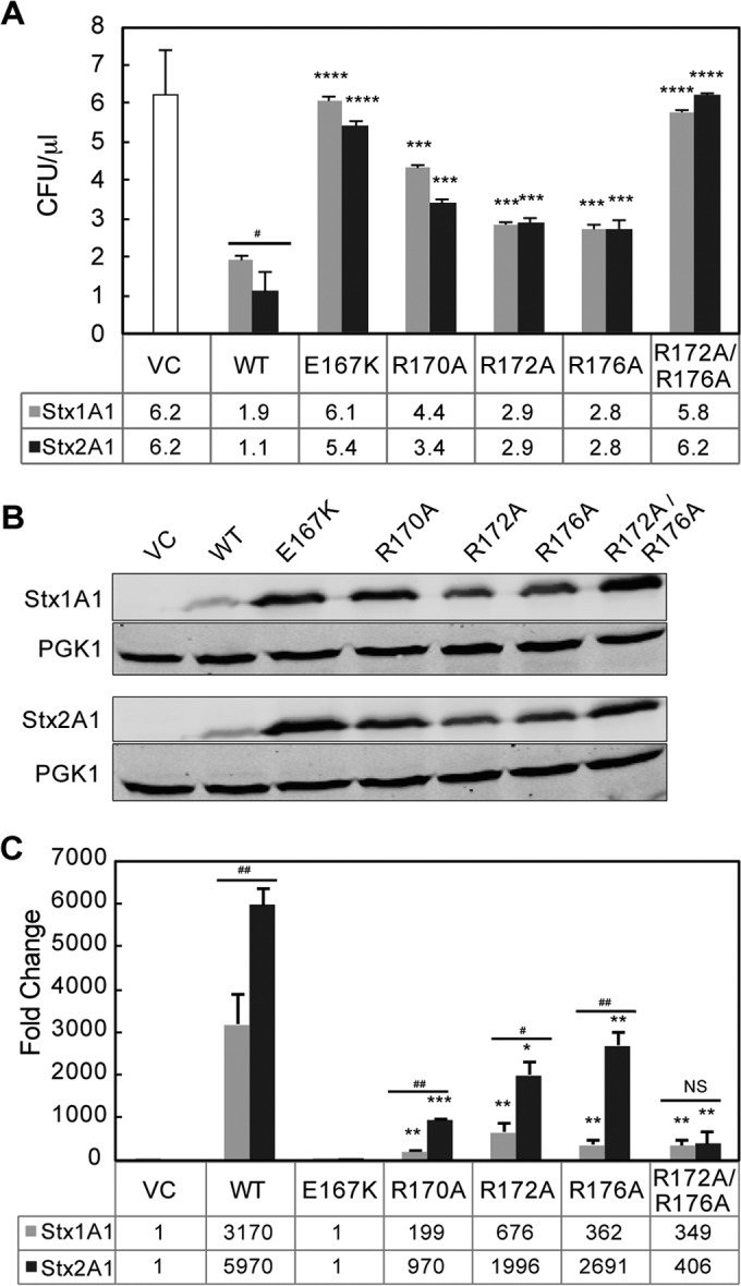 FIG 2