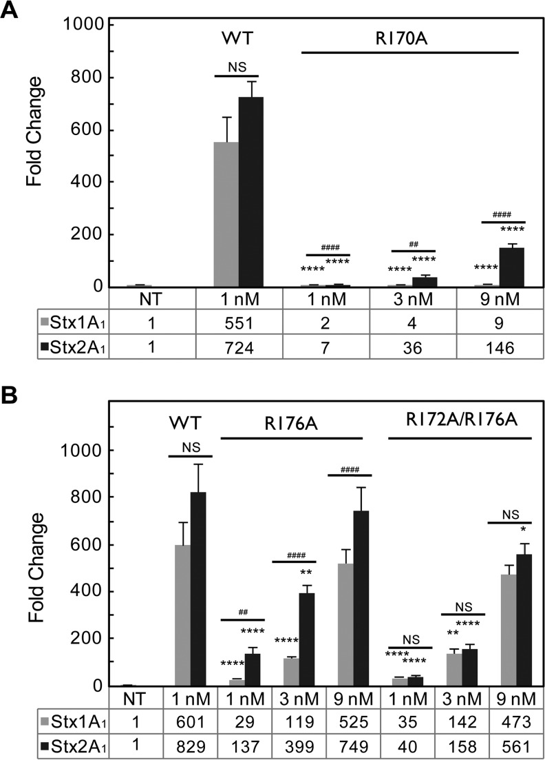 FIG 6