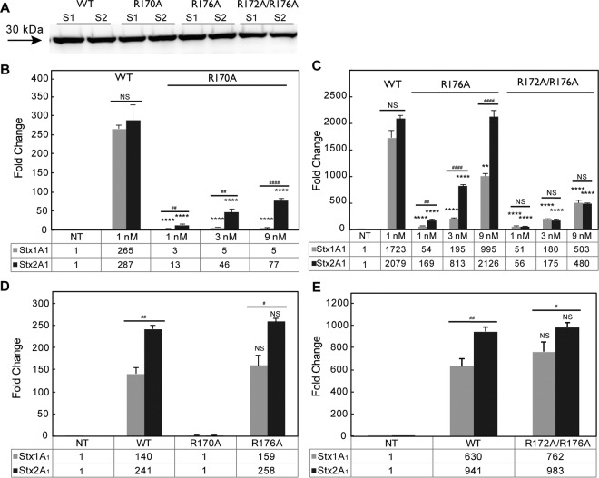 FIG 3