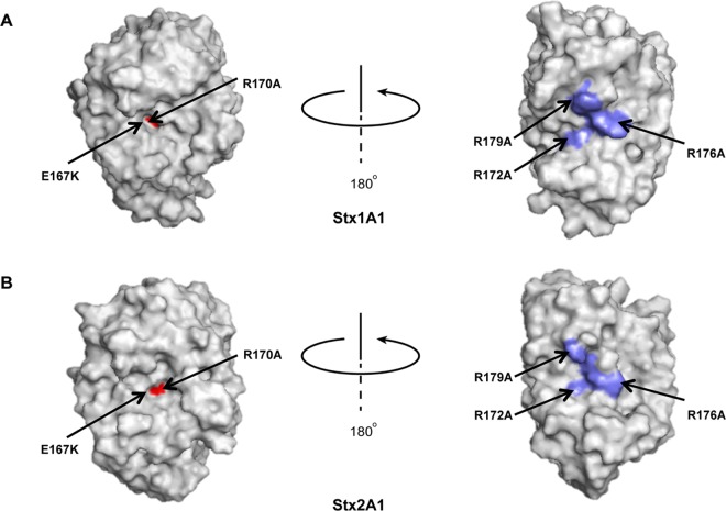 FIG 1