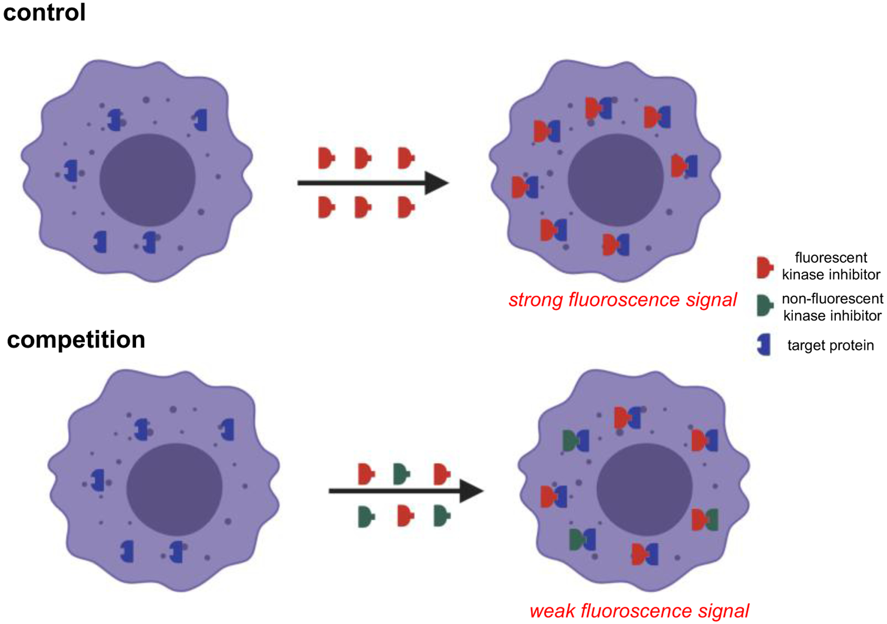 Fig 6.