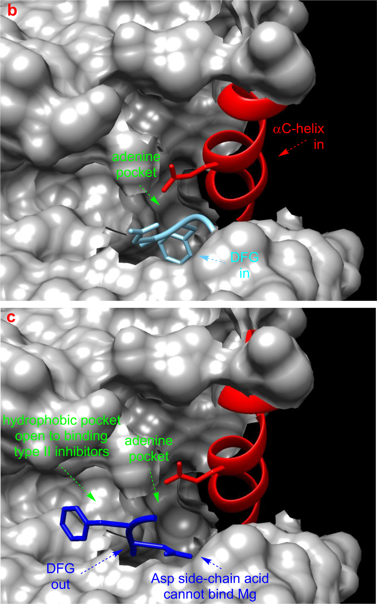 Fig 2.