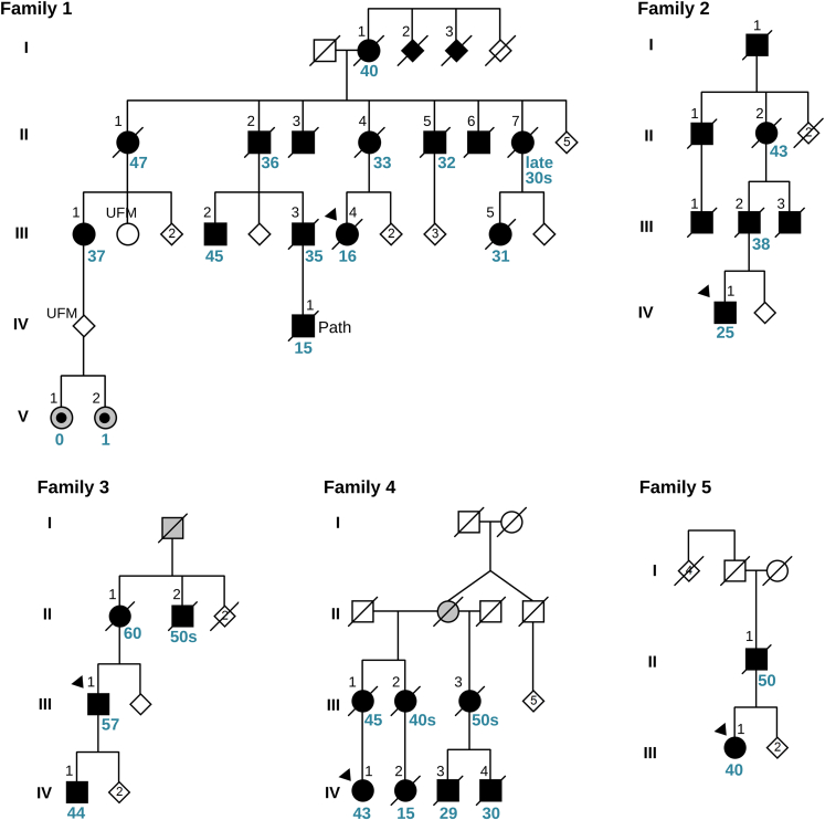 Figure 1