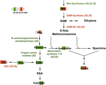 Figure 9.