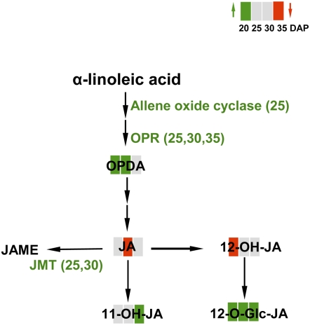 Figure 10.