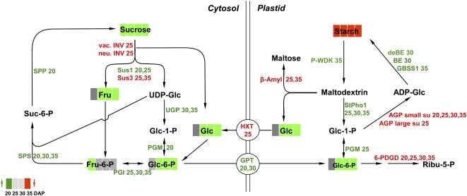 Figure 7.