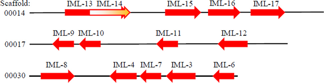 Fig. 3