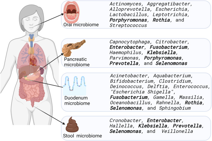 Figure 3