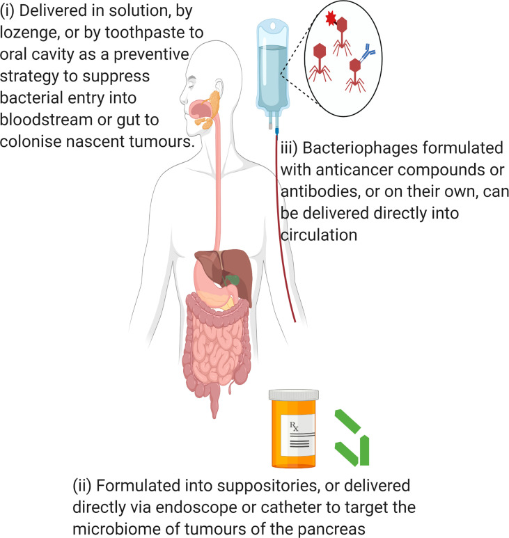 Figure 5