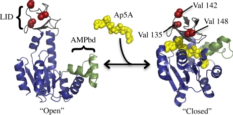 Fig. 1.