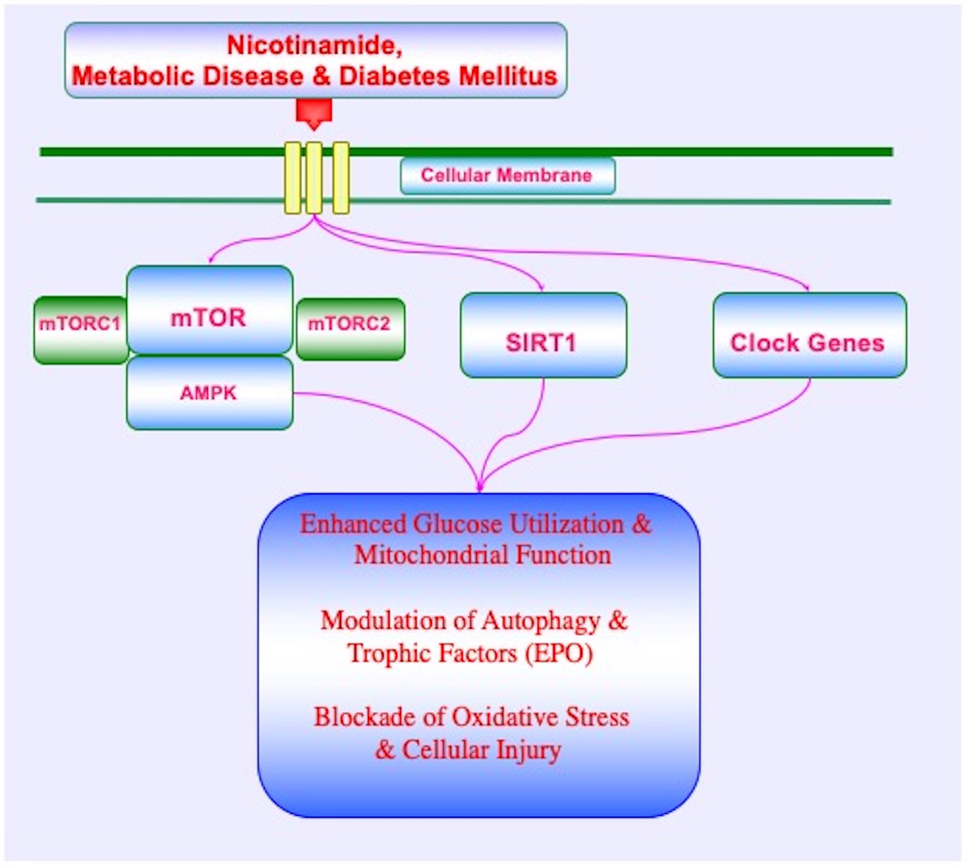 Figure 1: