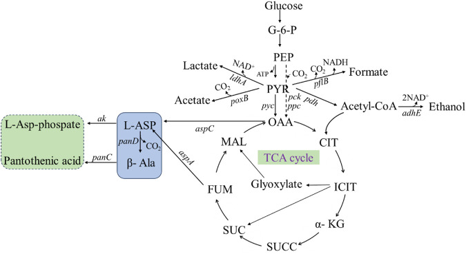 FIGURE 10