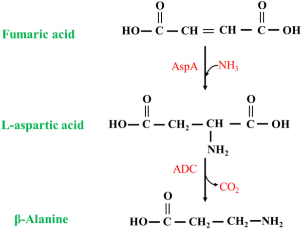 FIGURE 9