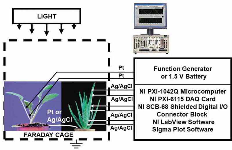 Figure 2.