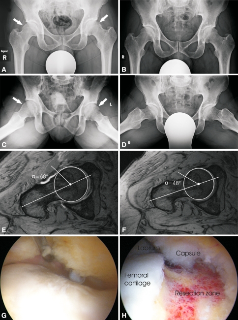 Fig. 3A–H