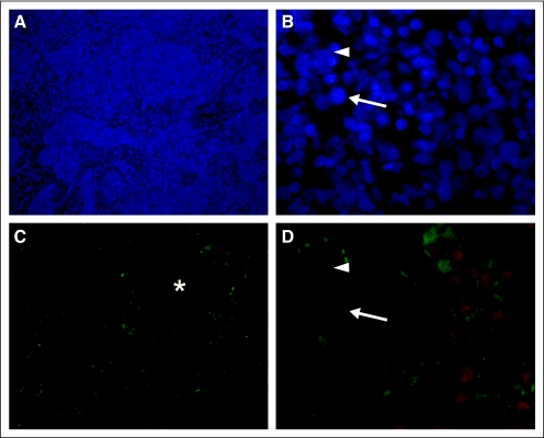 Fig 2.