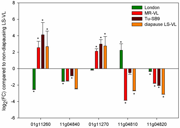 Figure 7