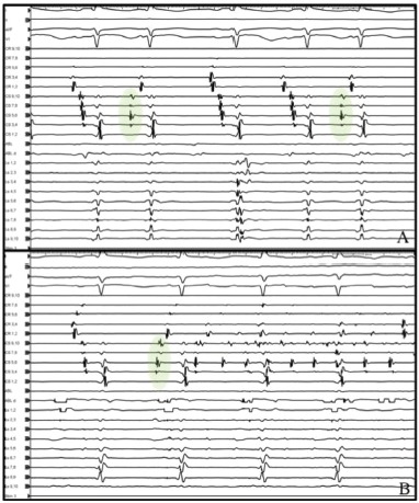 Figure 2: