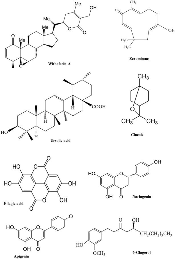 FIGURE 3