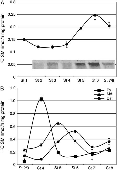 Figure 5.