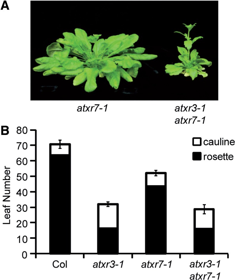 Fig. 6