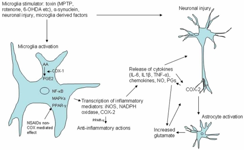 Fig. (1)