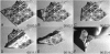 Fig. 5.