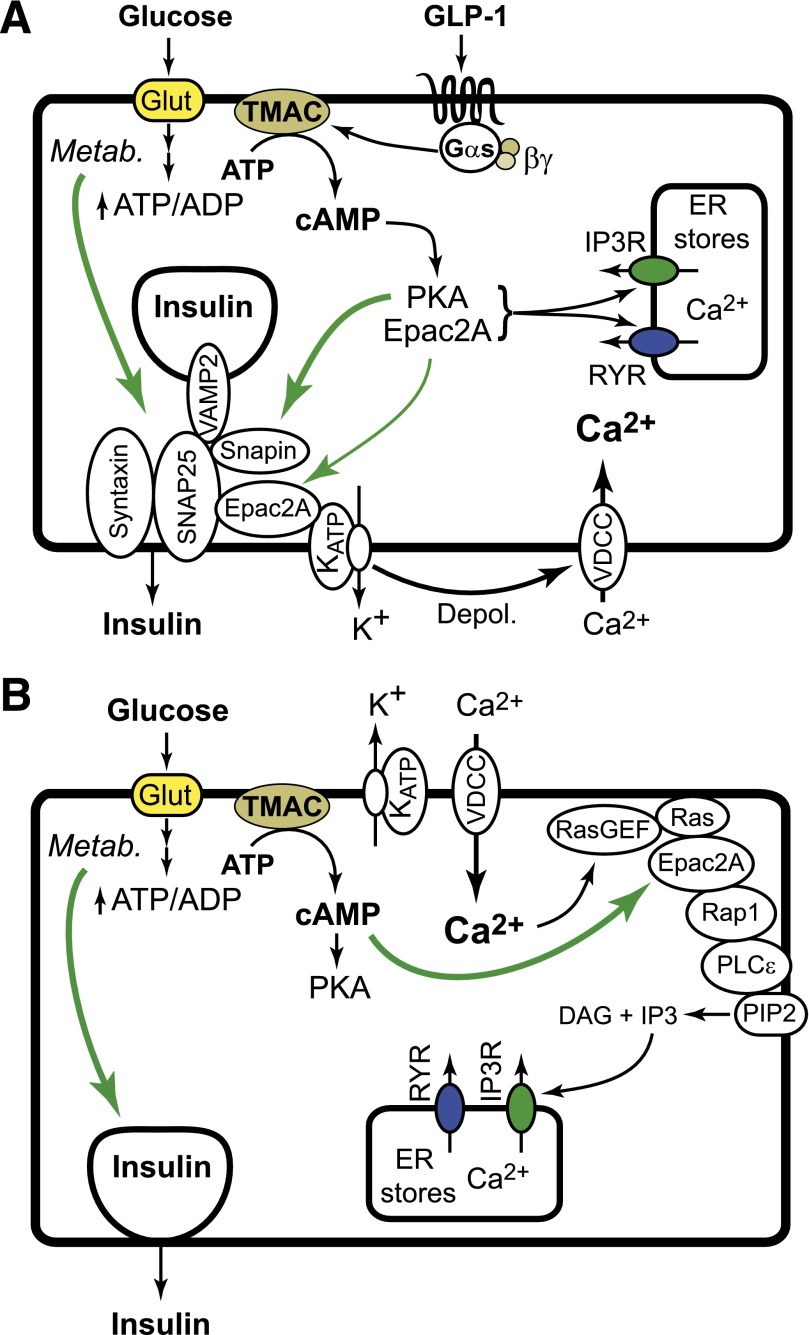 FIG. 1.