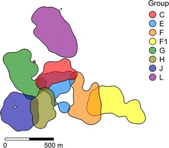 Fig. 1